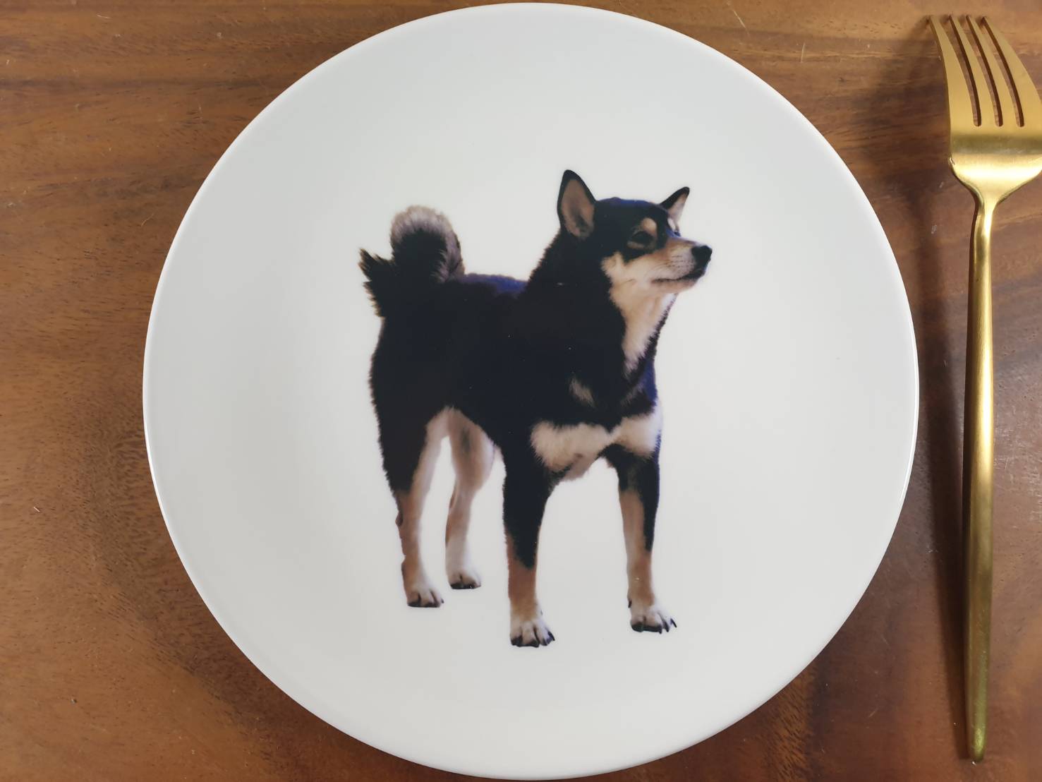 [出清品] 8吋 純白強化陶瓷圓盤 黑柴犬 | 第二張展示圖