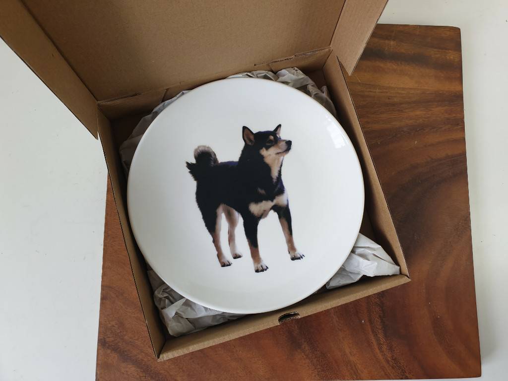 [出清品] 8吋 純白強化陶瓷圓盤 黑柴犬 | 第三張展示圖