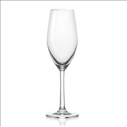 桑迪香檳杯-210ml/6入 可客製印刷圖案LOGO | 展示圖